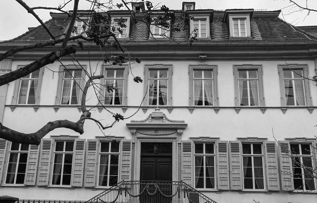 Palais Buhl