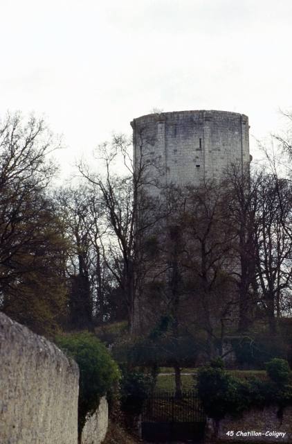 Donjon Châtillon-Coligny