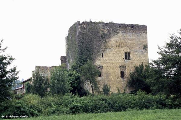 Donjon Saint-Pée-sur-Nivelle