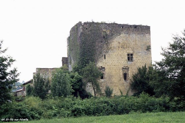 Donjon Saint-Pée-sur-Nivelle