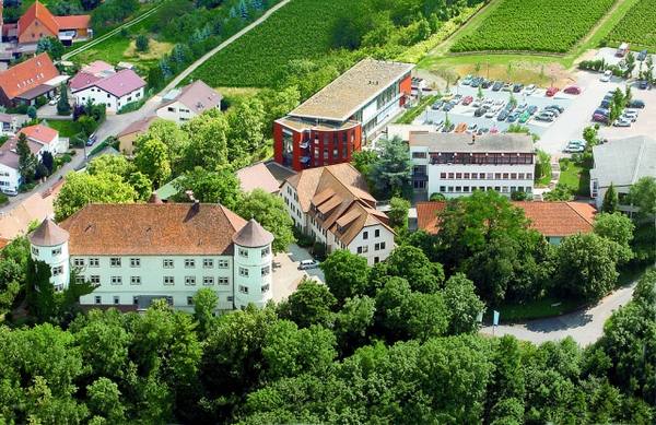 Hohenstein Castle