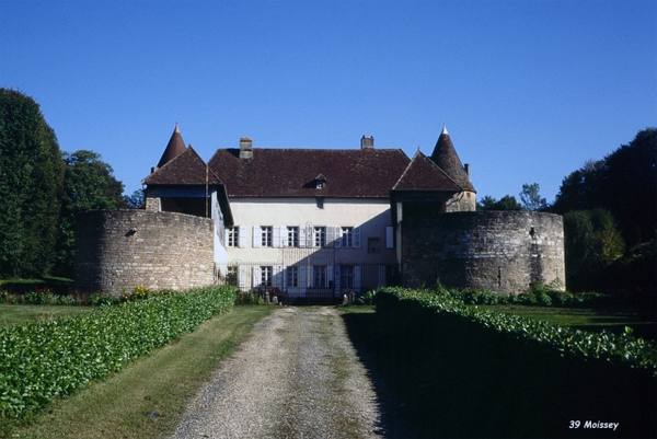 Château de Moissey