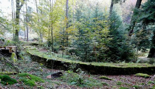 Roman Castle Robern