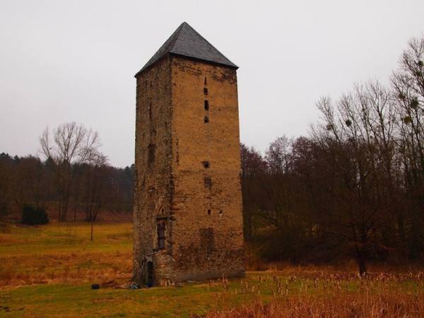 Burgruine Mühlenbach
