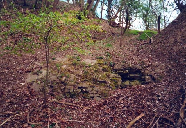 Fortress Koblenz-Fort Rheineck