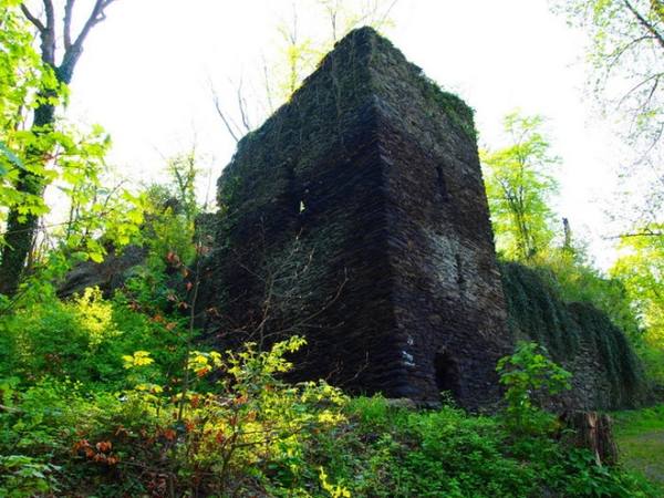 Steinsche Castle