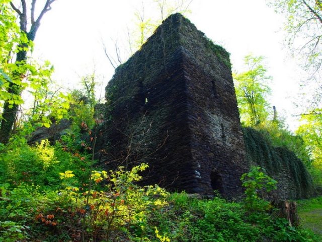 Steinsche Castle