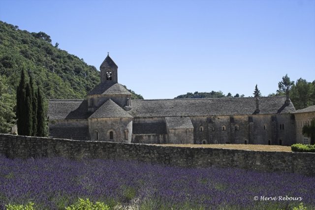 Sénanque Abbey