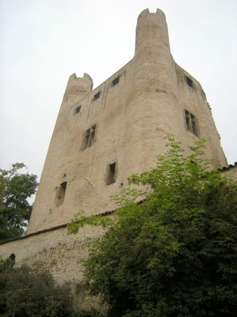 Burgruine Hoher Schwarm