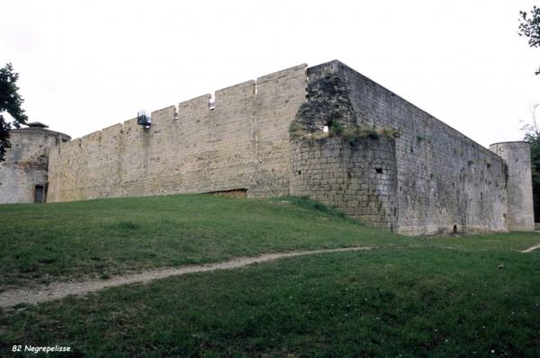 Château de Nègrepelisse