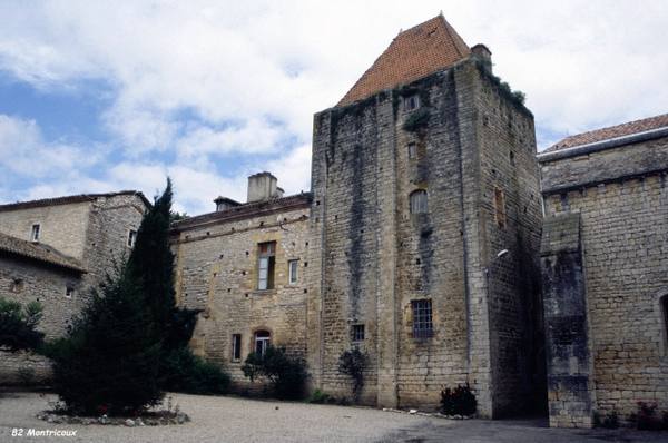 Donjon Montricoux