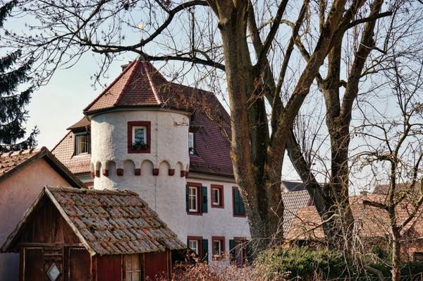 Würzburger Castle