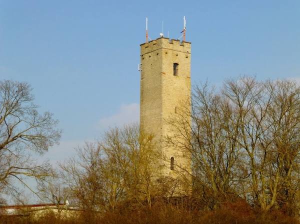 Burgruine Rossberg (Schenkenschloss)
