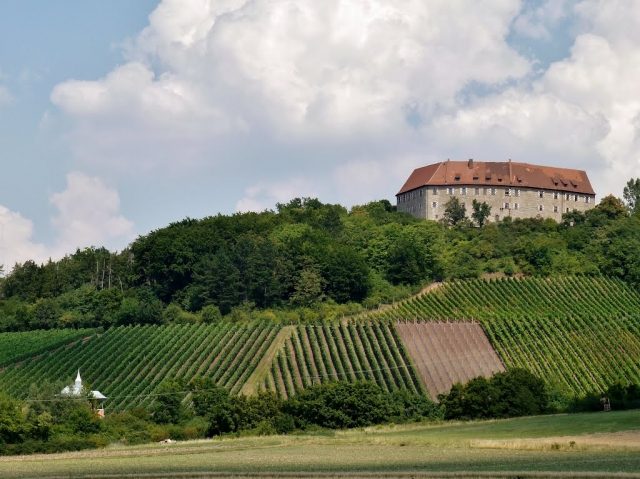 Hoheneck Castle (Ruin)