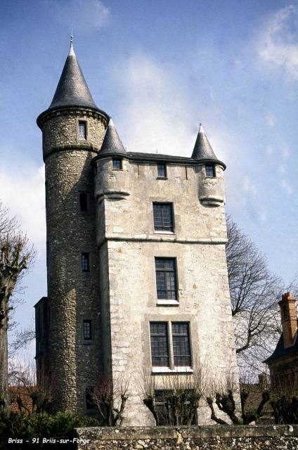 Château de Briis