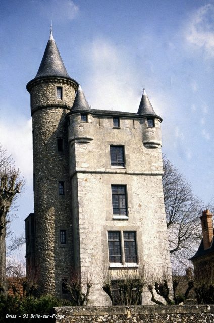 Château de Briis