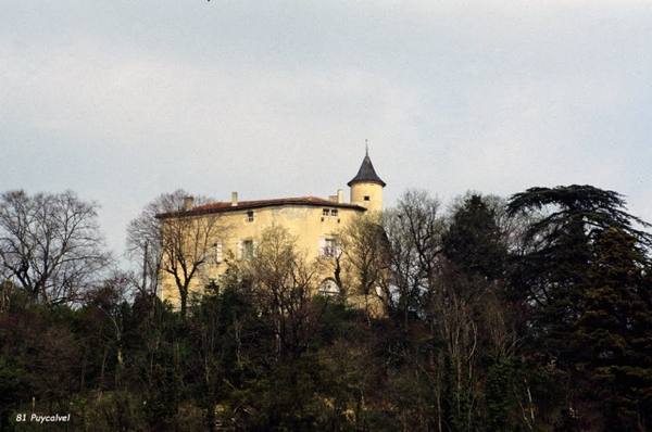 Château de Puycalvel