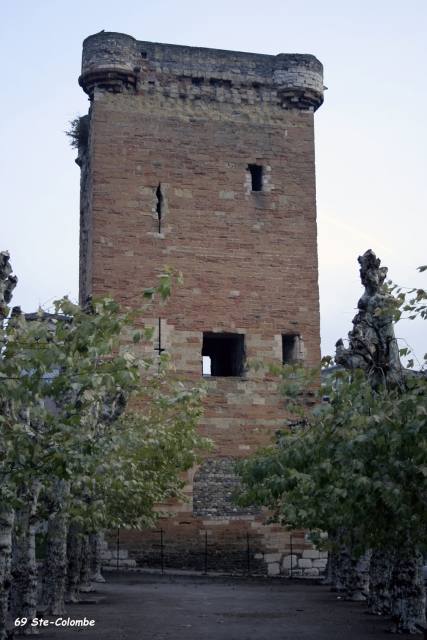 Donjon de Sainte-Colombe