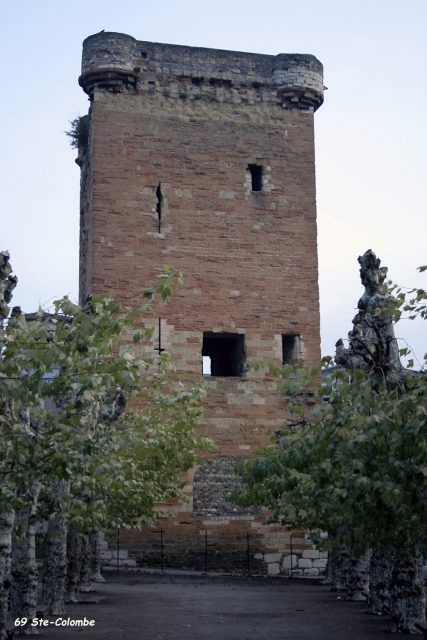 Donjon de Sainte-Colombe