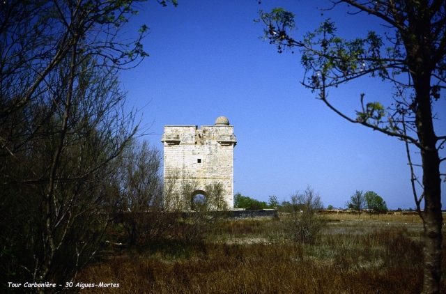 Tour Carbonnière
