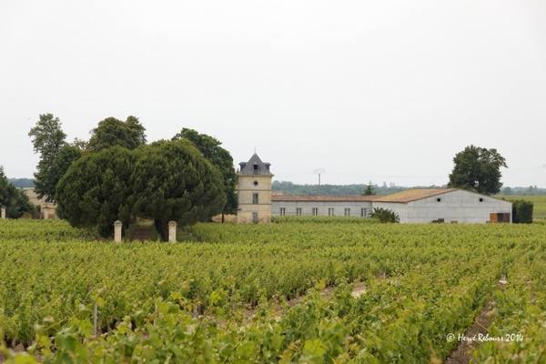 Château Lafitte-Carcasset