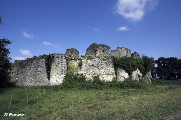 Château de Blanquefort