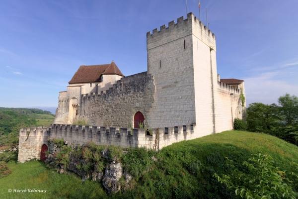 Château de Grignols