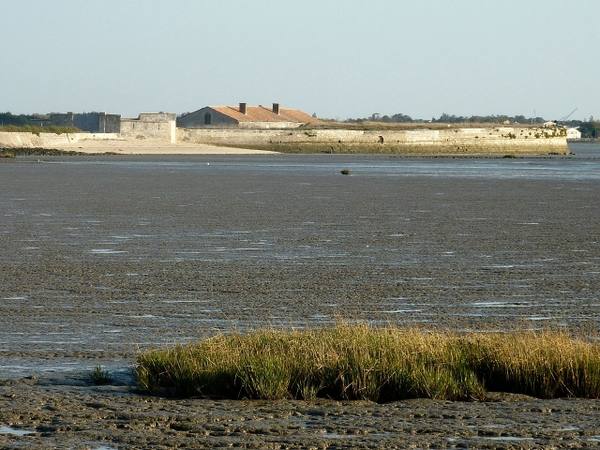 Fort Lapointe dit Vasou