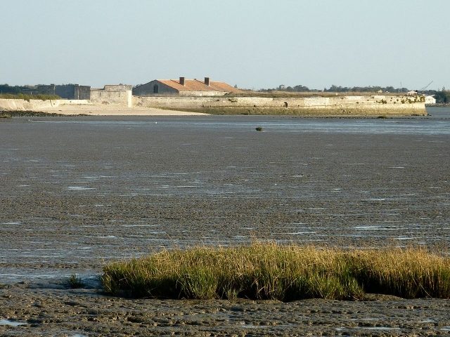 Fort Lapointe dit Vasou
