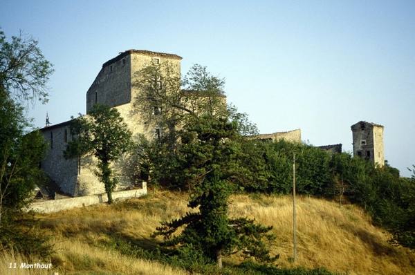 Château de Monthaut