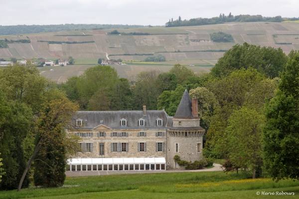 Château de Dormans