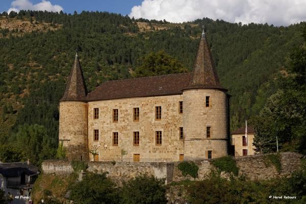 Château de Florac