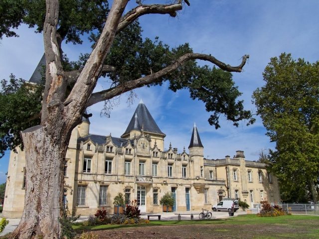 Chateau de Thouars