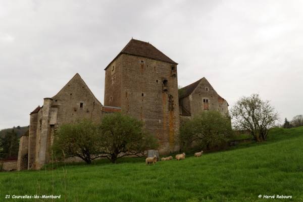 Château de Courcelles-lès-Montbard