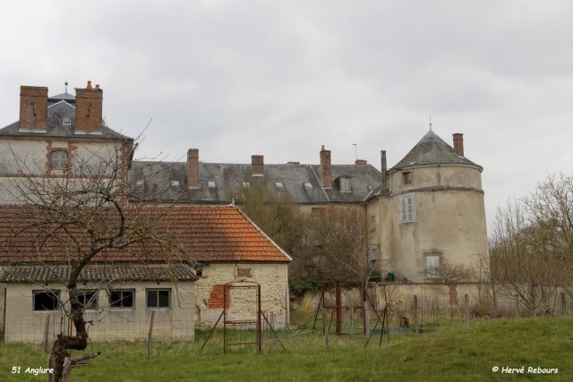 Château de Anglure