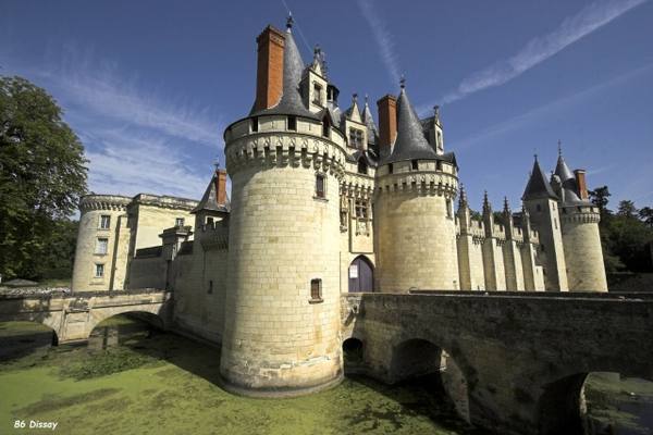 Château de Dissay