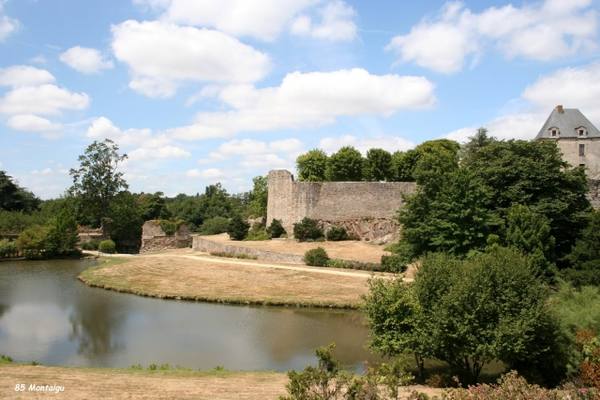 Château de Montaigu