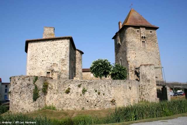 Château d'Ardelay