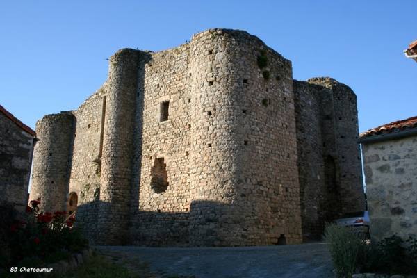 Château de Les Châtelliers-Châteaumur