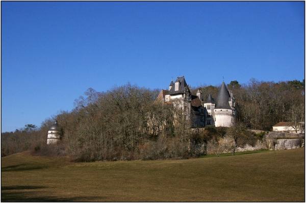 Château de Puyguilhem