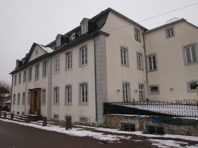 Salmsches Schloss