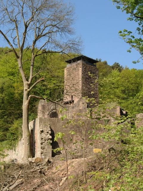 Burgruine Hinterburg