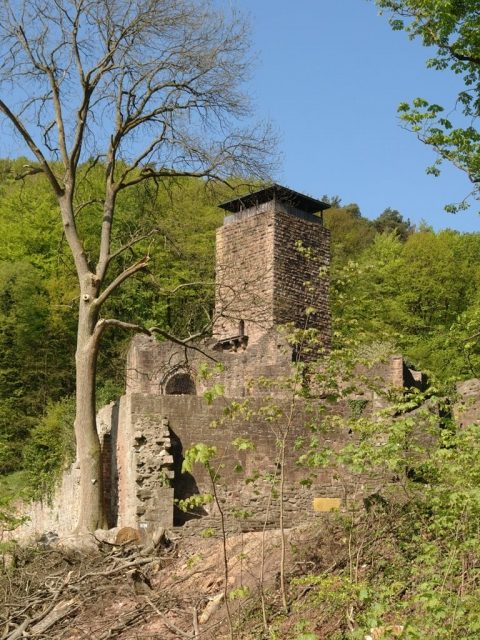 Burgruine Hinterburg