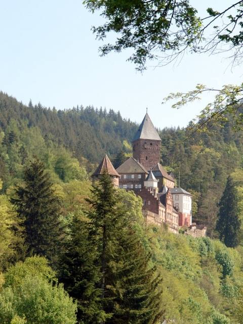 Zwingenberg Castle