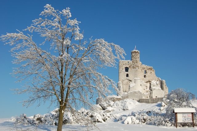 Krzyżtopór Castle