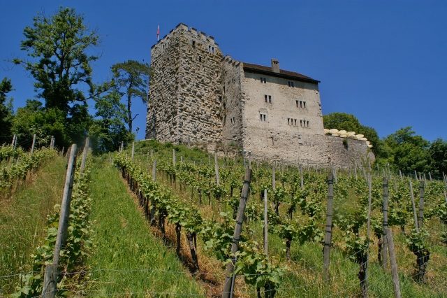 Habsburg Castle