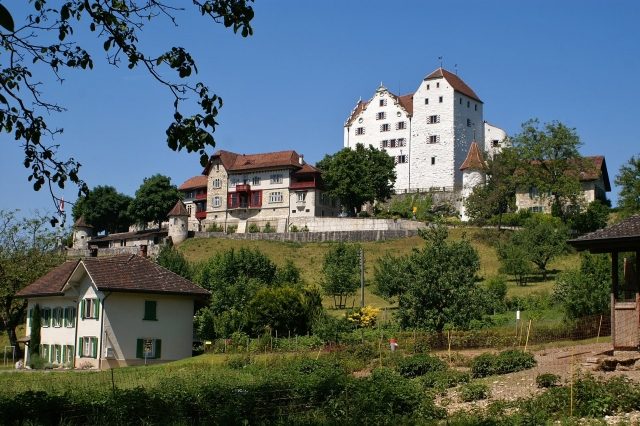 Wildegg Castle