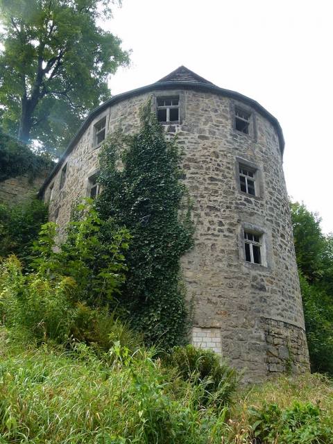 Burgruine Wehlen