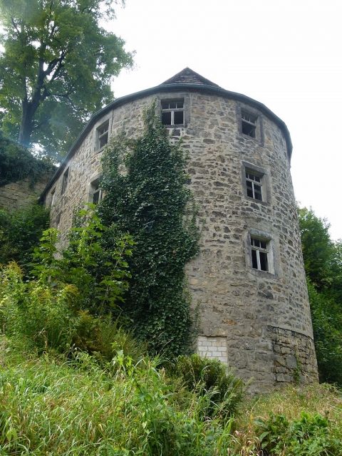 Burgruine Wehlen