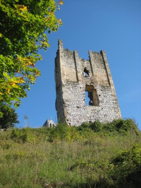 Sokolac Castle